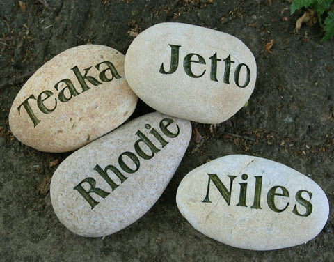 Custom Pet Name Stone - Palm size engraved stone