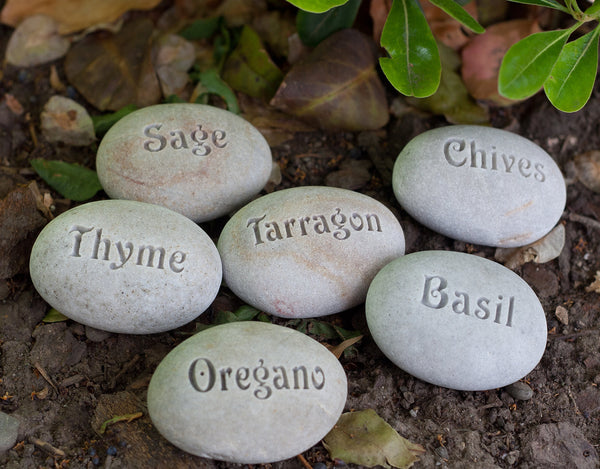 Custom Engraved Natural Garden Marker - Plant marker, herb marker