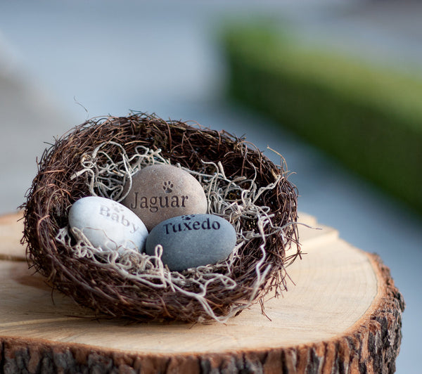 Personalized pet lover gift  - Furry Babies Nest (TM) - set of 3 engraved stones with pets names