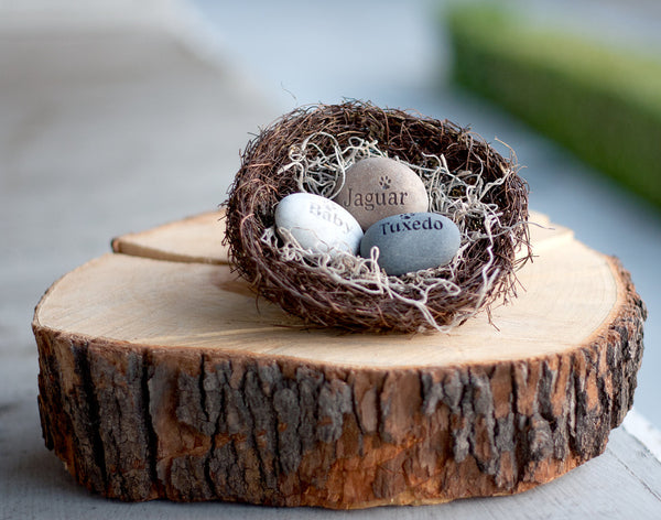 Personalized pet lover gift  - Furry Babies Nest (TM) - set of 3 engraved stones with pets names