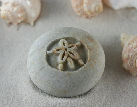 SAND DOLLAR - engraved stone ready gift hand carved by sjEngraving