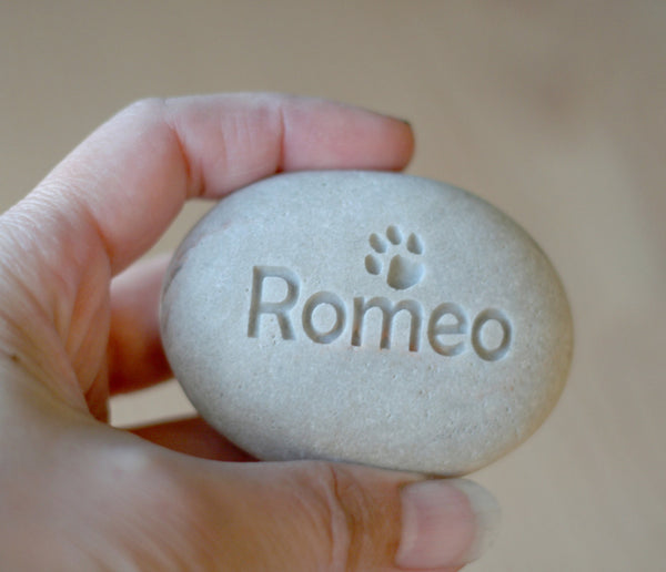 Pet lovers gift - Personalized mini pet stone - desktop companion